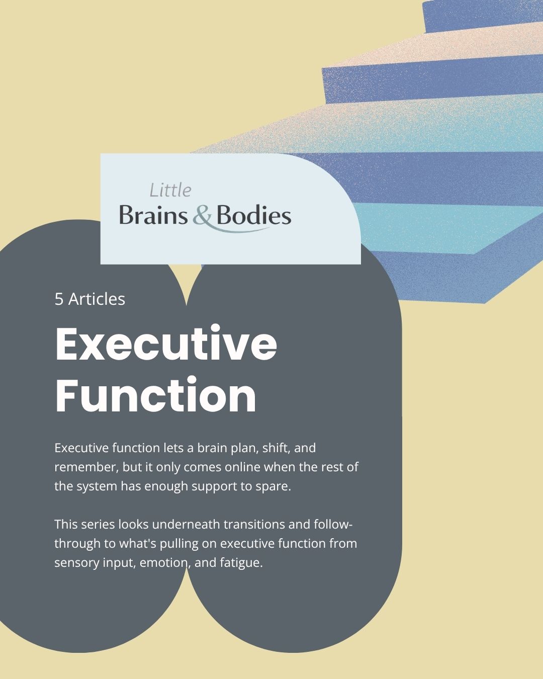 Executive Function - Five Domains Deep Dive